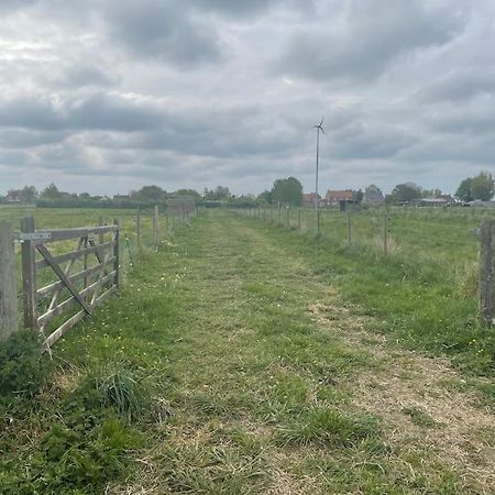 Ivy Cottage Salters Lode Exterior foto